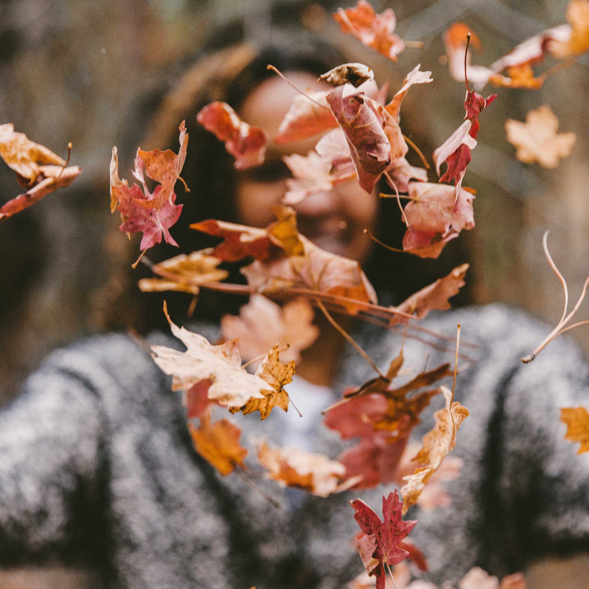 Bucket List für den Herbst, Herbst zelebrieren, Herbst Freude, Ideen für den Herbst, Herbst Ideen, Herbst genießen, Herbst feiern, Kürbis, Halloween, Pilze sammeln, worauf wir uns im Herbst freuen,