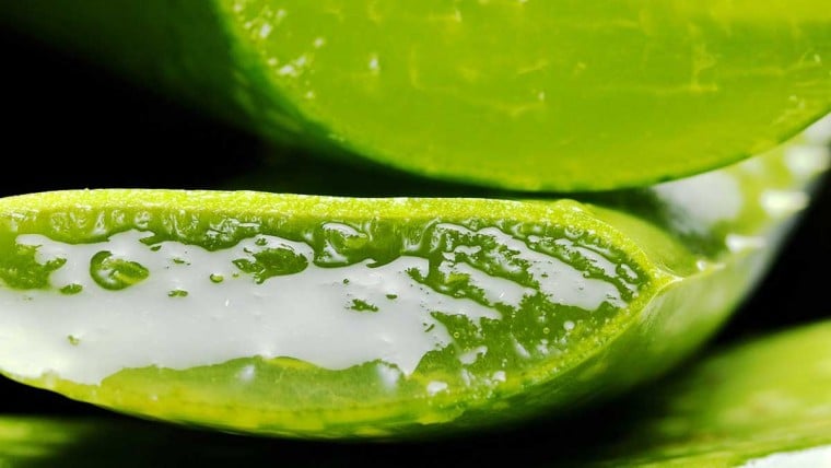 Heilpflanze Aloe Vera ein Alleskönner in Sachen Beauty, Aloe Vera Anwendung, Aloe Vera gegen Hautirrtationen, Aloe Vera gegen trockene Haut, Aloe Vera Gel Wirkung, Aloe Vera Gel, Aloe Vera Gel zur Hautpflege, Skincare, Wellness, Beauty Tipps,