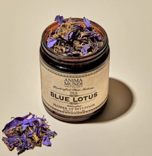 Blauer Lotus Tee Zubereitung, Blauer Lotus Tee kaufen, Self-Care Ritual,