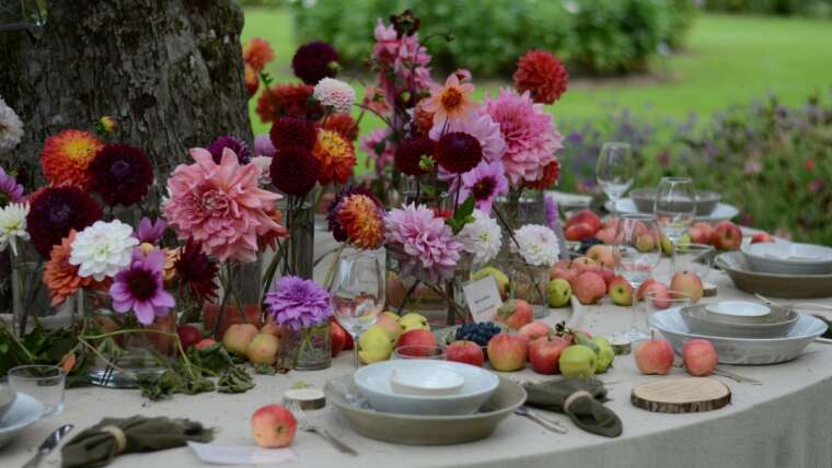 Midsommar Vibes: Sommer-Glow & Skandi Lifestyle